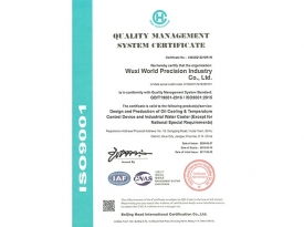 ISO9001英文（wén）版
